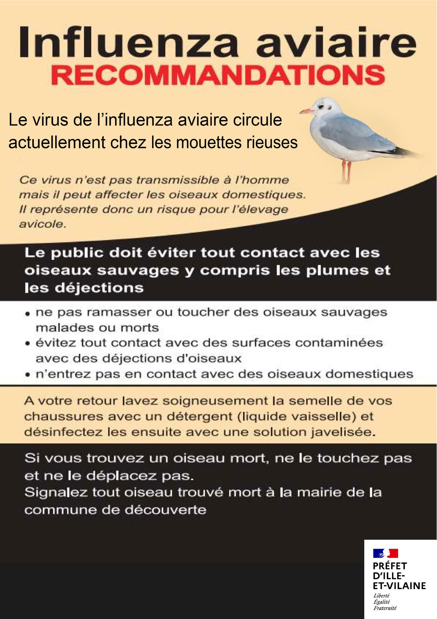 Influenza aviaire 2023.jpg